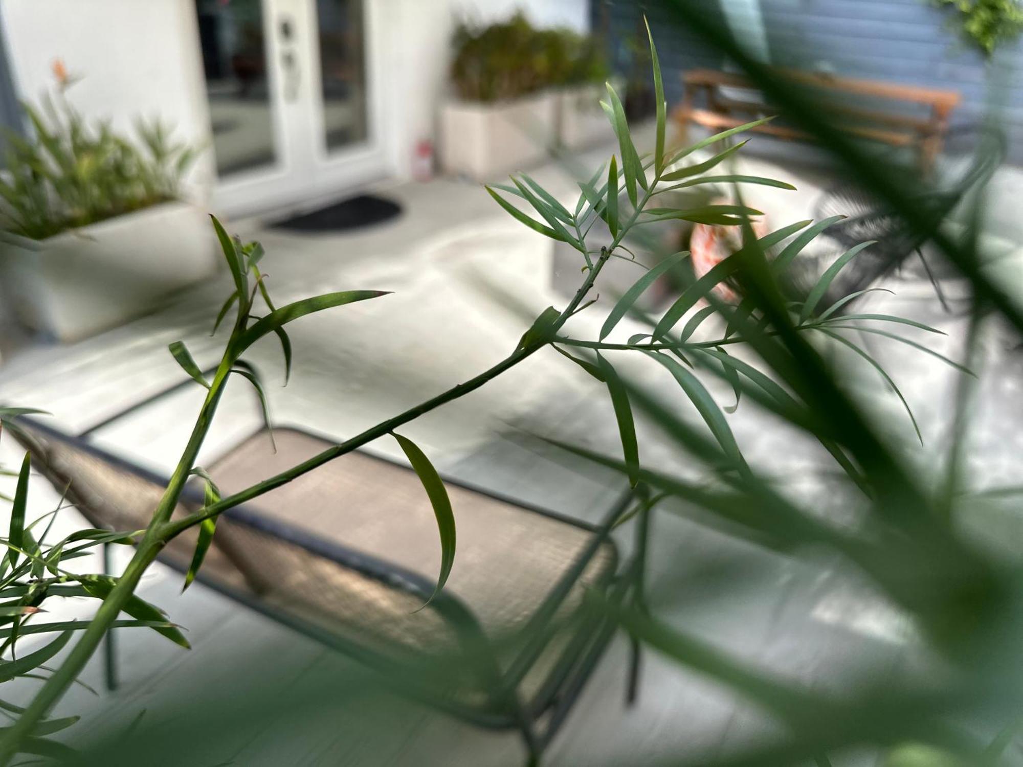 Resort Getaway In Private Garden Terrace Villa W Luxury Amenities لوس أنجلوس المظهر الخارجي الصورة